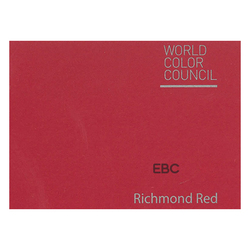 RICHMOND RED 250GSM Small 79cm x 55cm